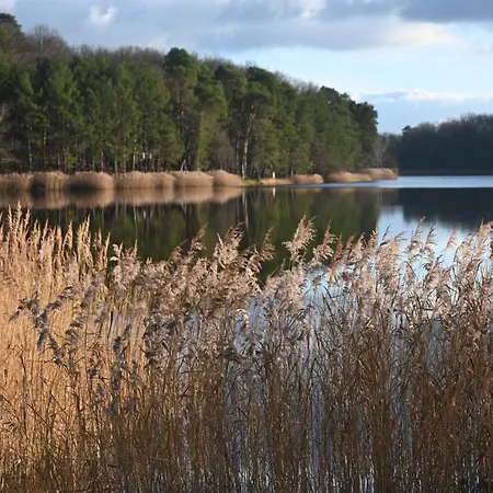 Aux 3 Forets 3* Bizeneuille