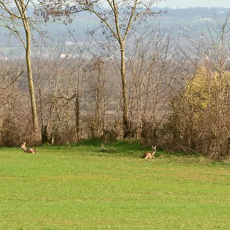 Aux 3 Forets 住宿加早餐酒店