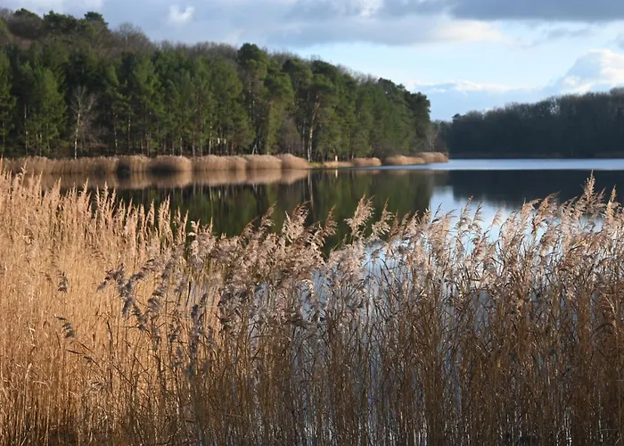 Aux 3 Forets 3* Bizeneuille