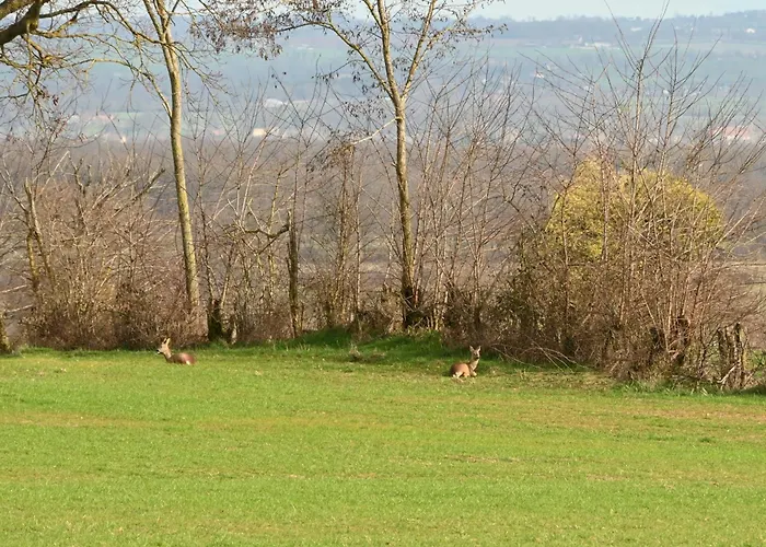 Aux 3 Forets Bed & Breakfast